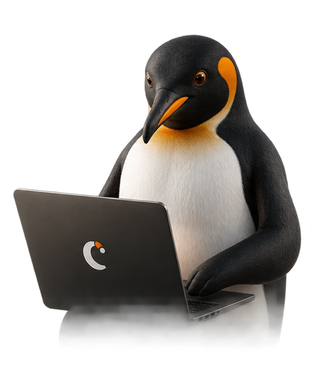 Pinguïn achter laptop, webdesign en development door Pingwin